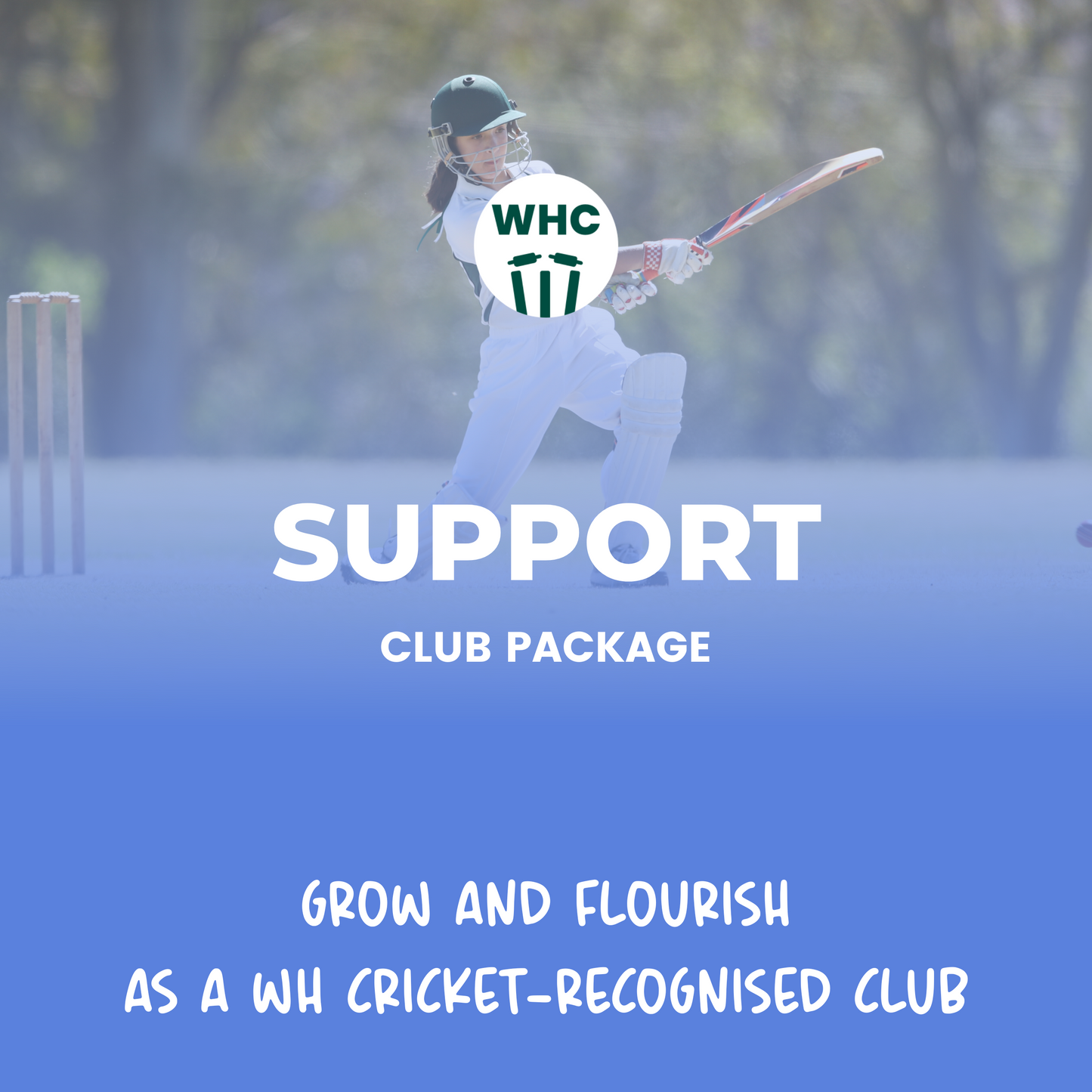 WH Club Package: SUPPORT PACKAGE
