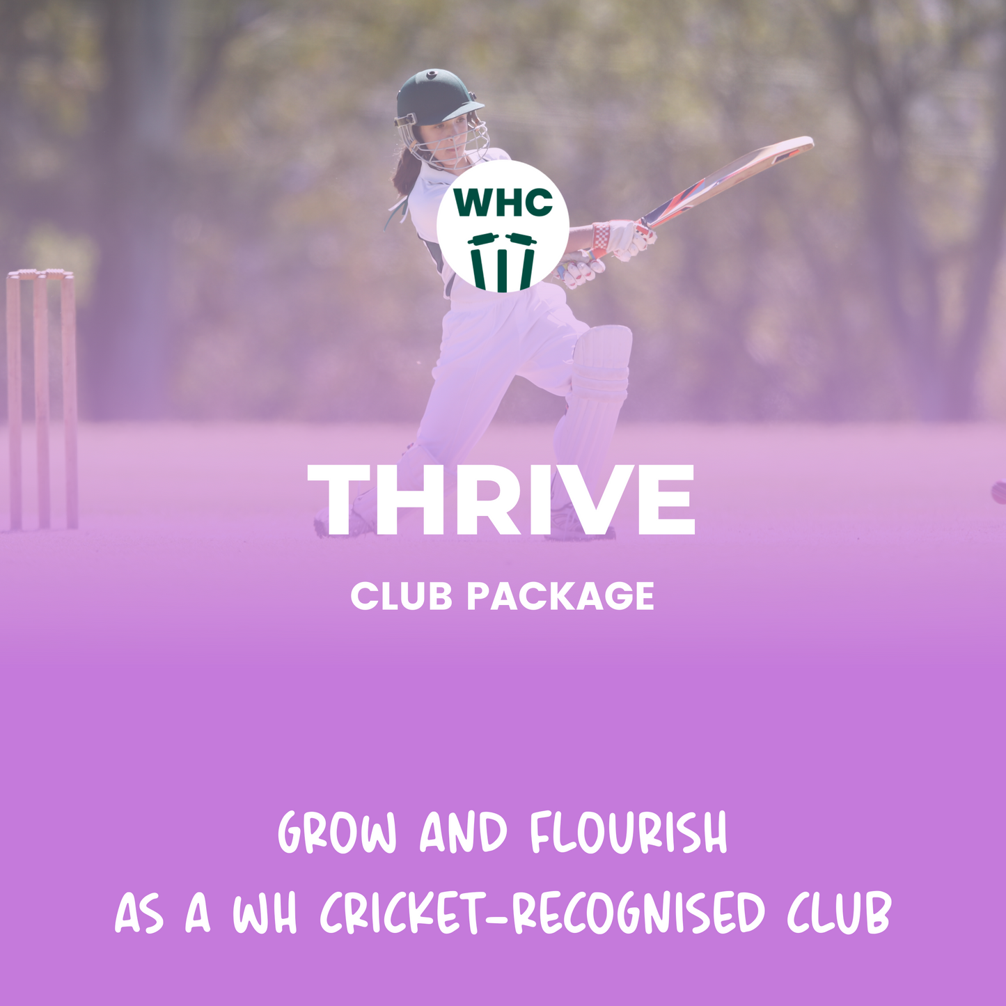 WH Club Package: THRIVE PACKAGE
